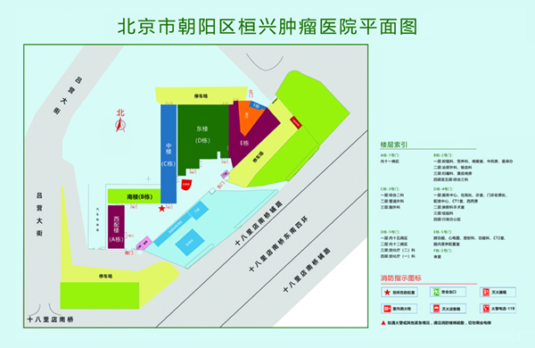 肏骚穴视频北京市朝阳区桓兴肿瘤医院平面图